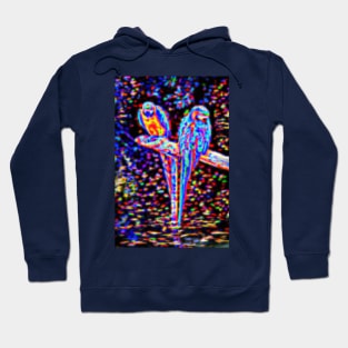 Two Electric Parrots Hoodie